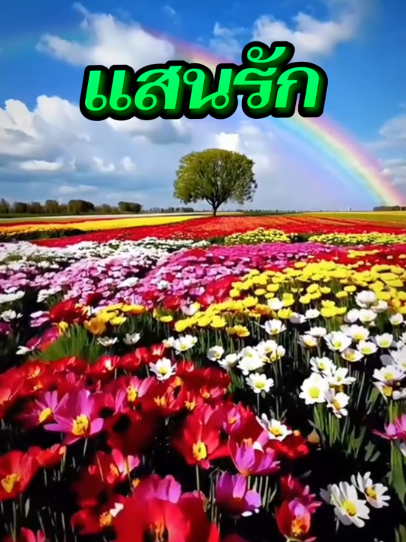 @คนที่โลกลืม