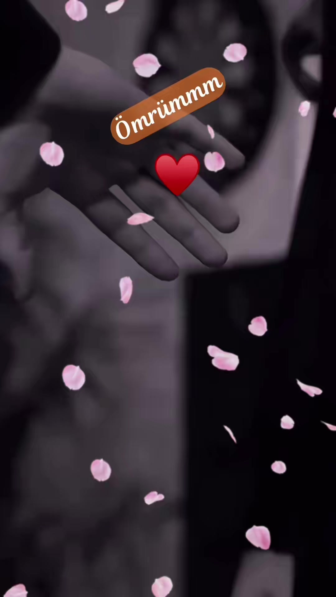 @💛Gαɱȥҽ Nυɾ💙