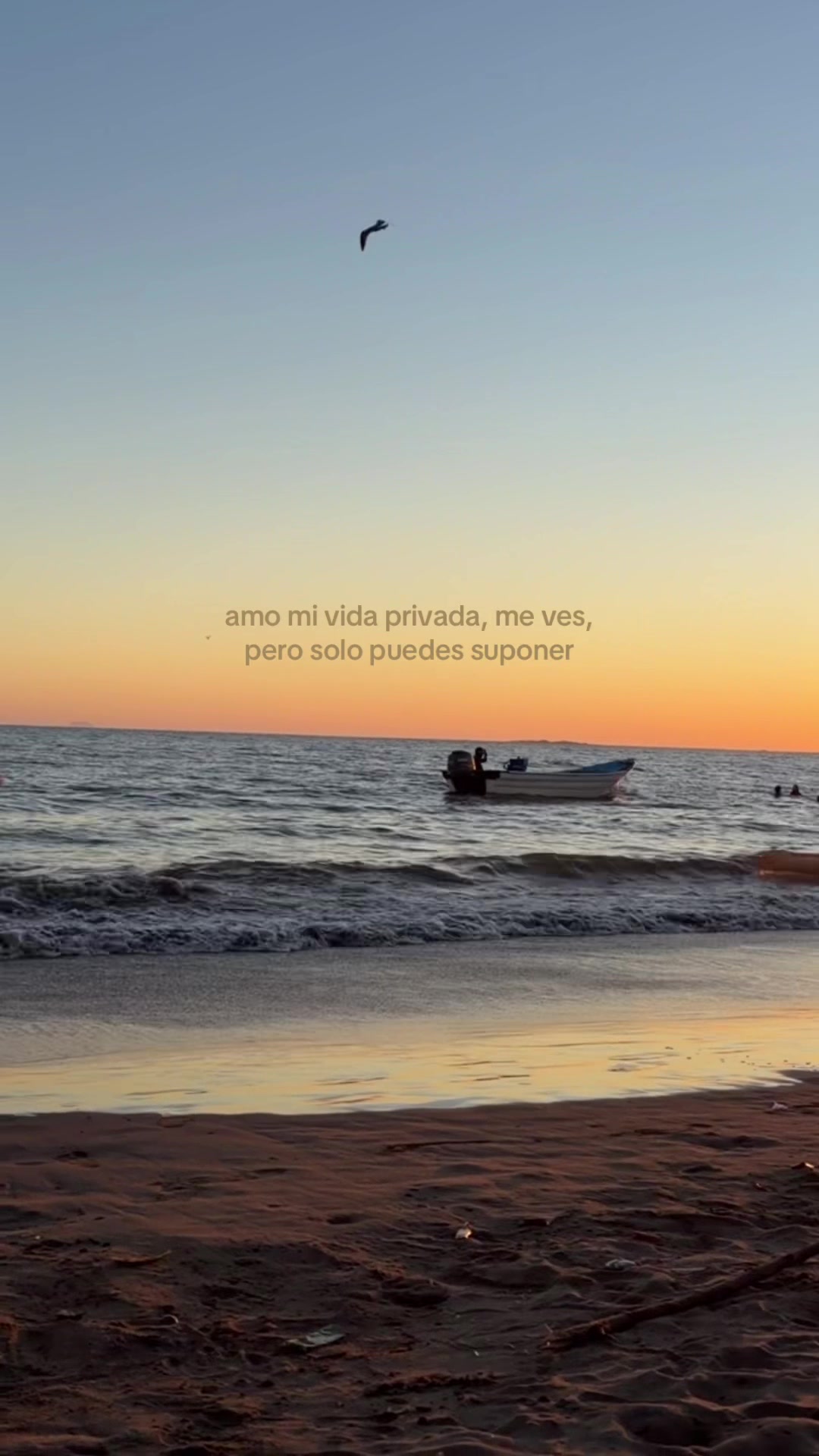 @Alisson