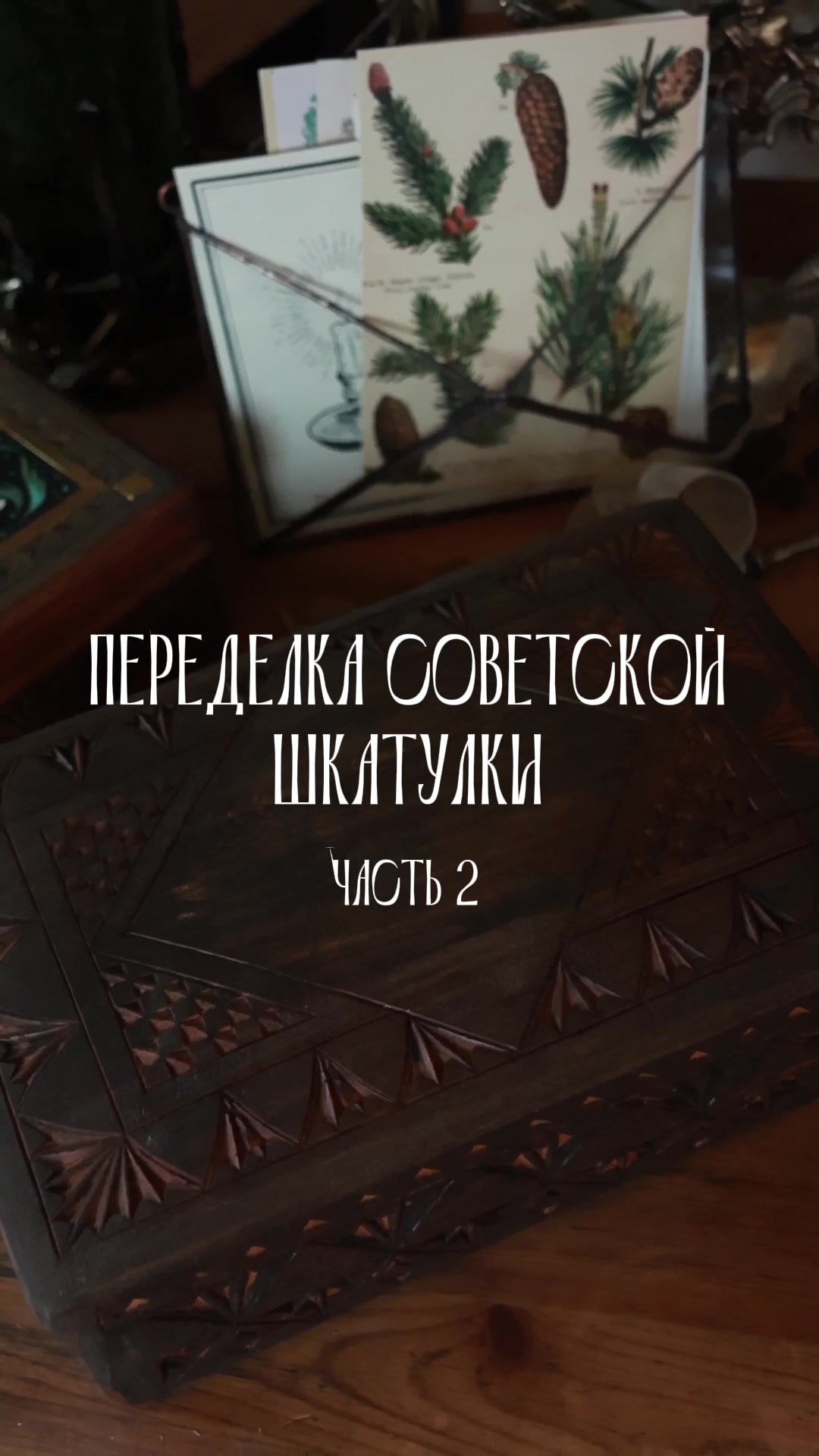 @LIZZA.tikhonova