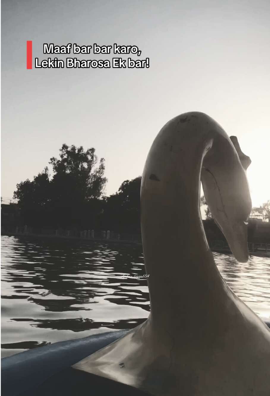 @꧁༺𝓐𝓶𝓫𝓮𝓻༻꧂
