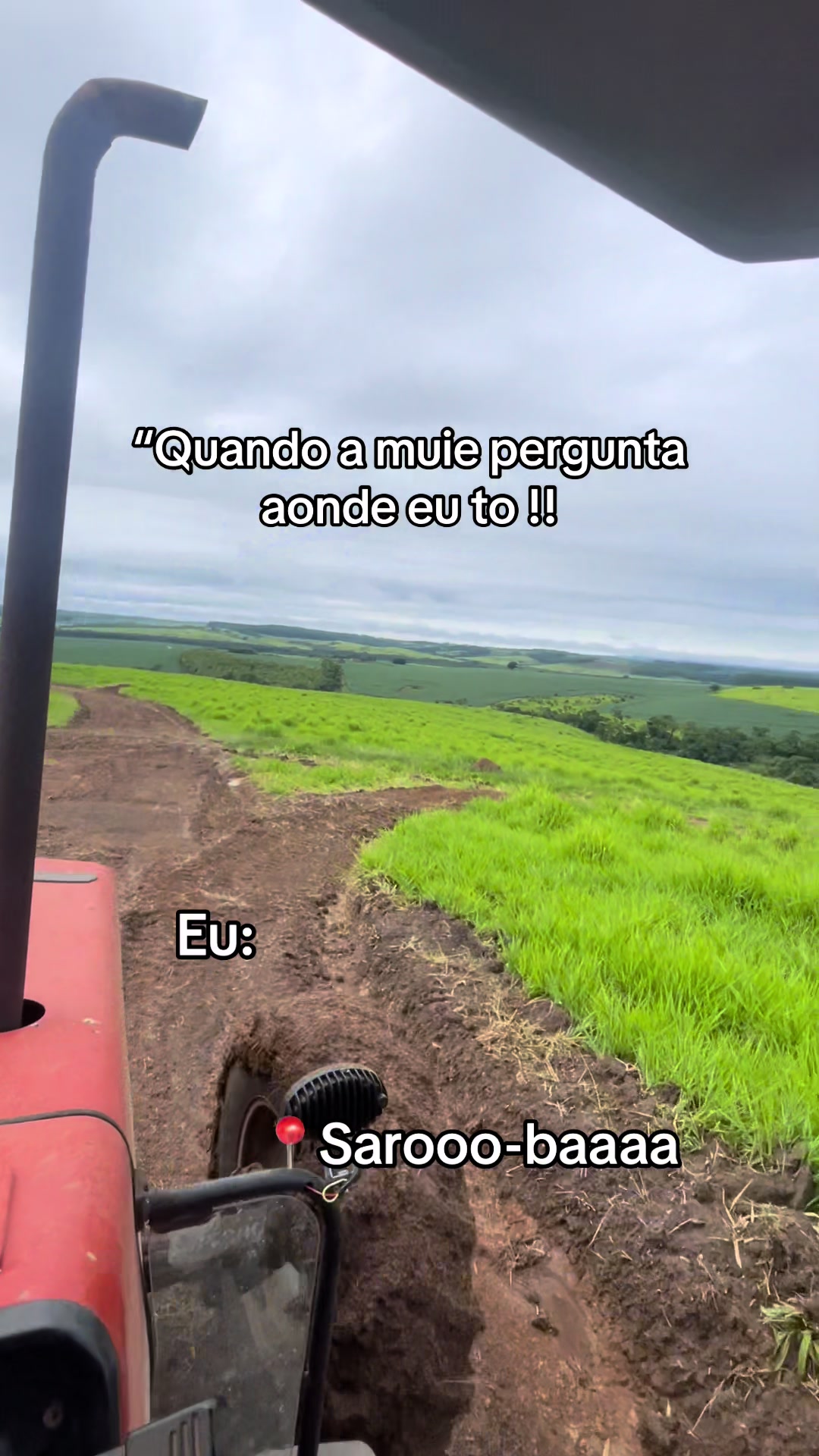 @joao francisco