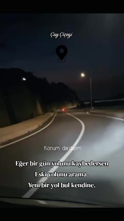 @Çay çiçeği-53
