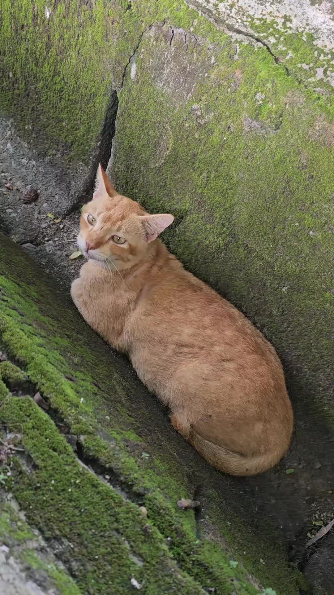 @AyuMasayu Kalamudin