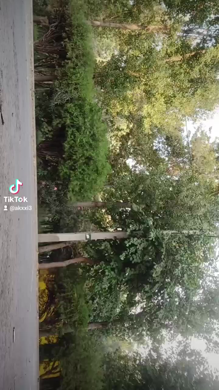 @Akxxi