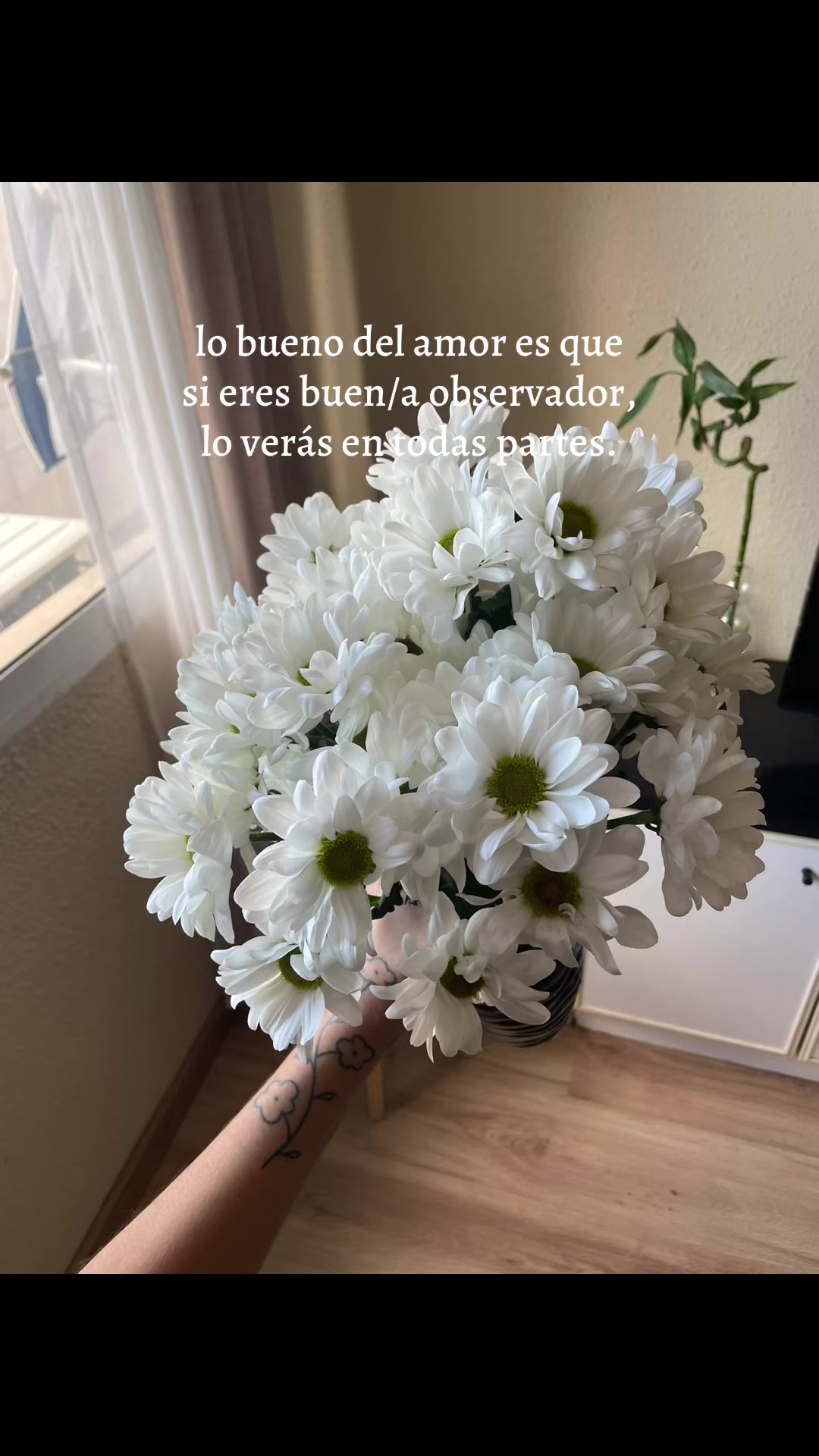 @Lupe Coiset