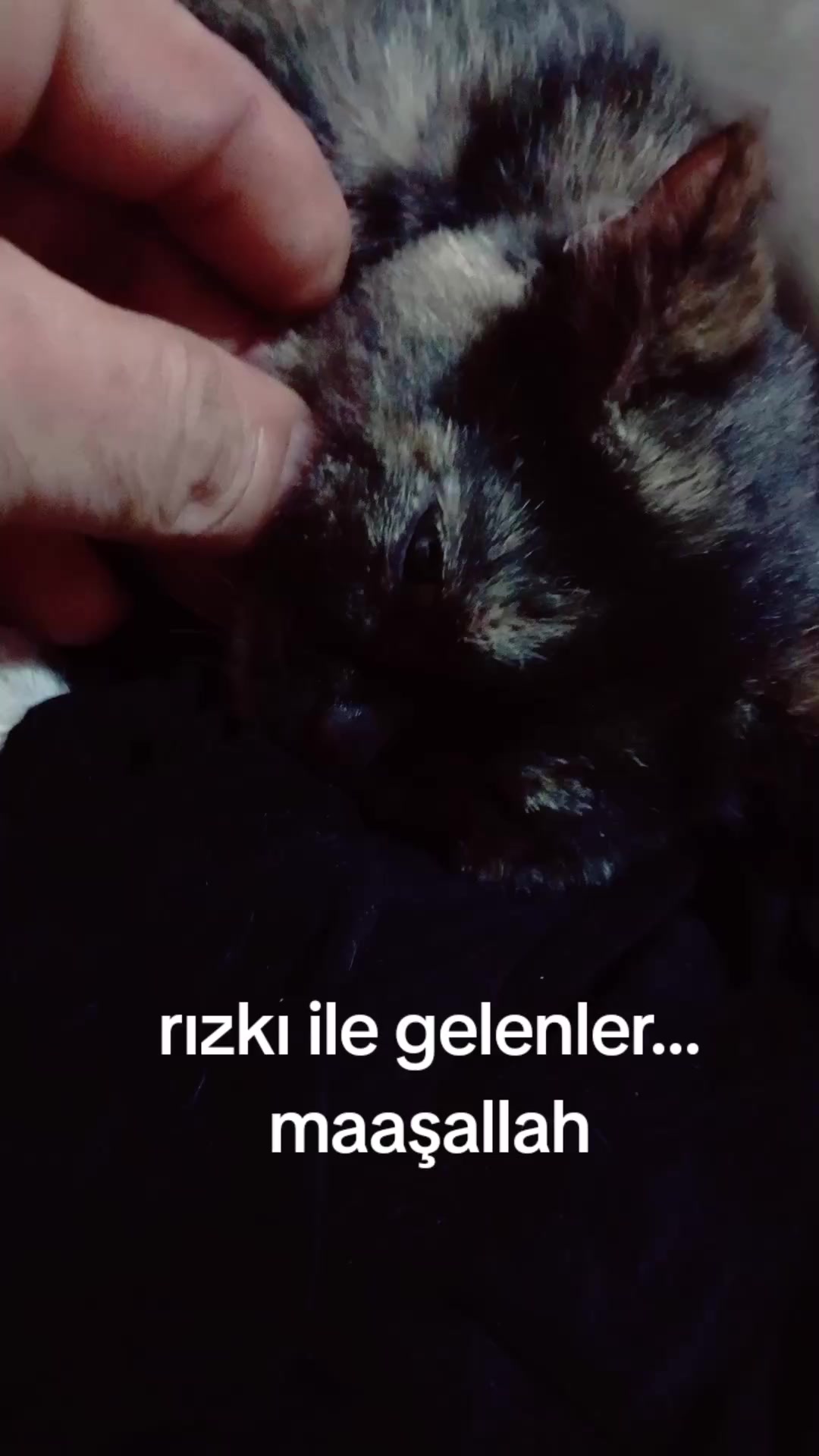 @&ccedil;amur