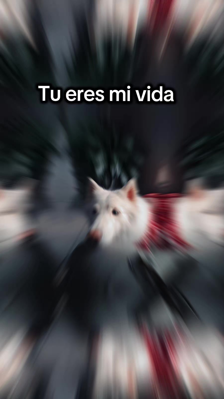 @Daya Noguera Henriqu