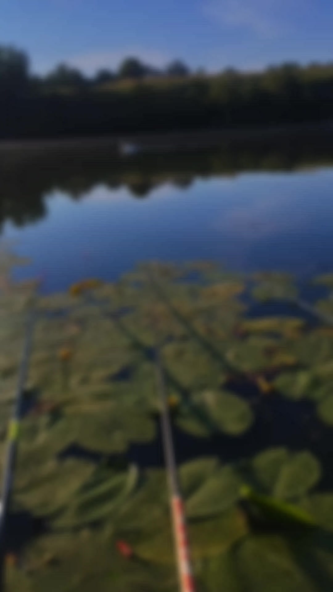 @Юля Христенко Миронець
