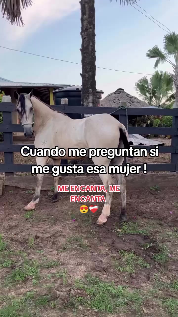 @Juan Meza