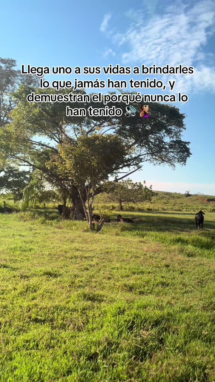 @María José Fabra 🫀