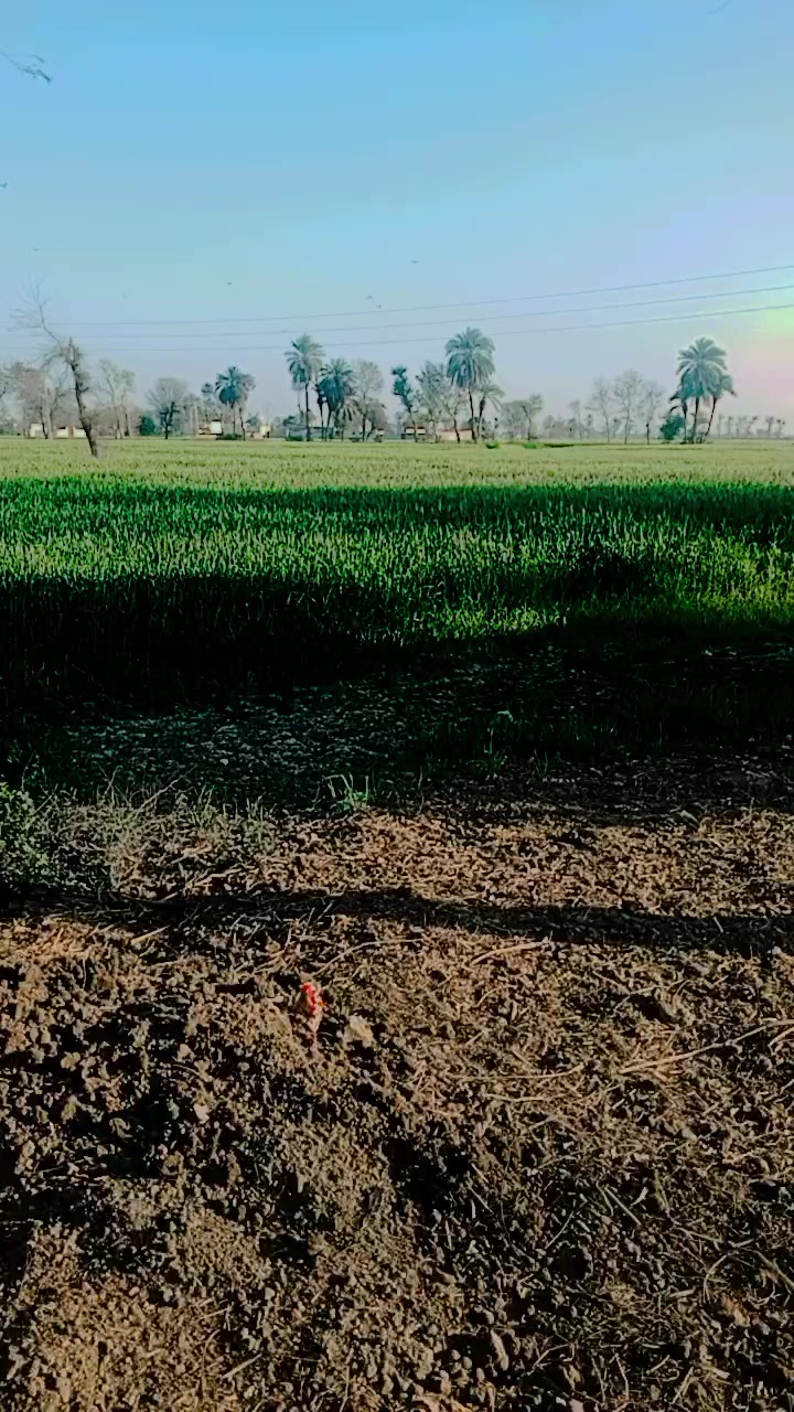 @Sarکاri Loog 💪🏻&hearts;️ 🇵🇰