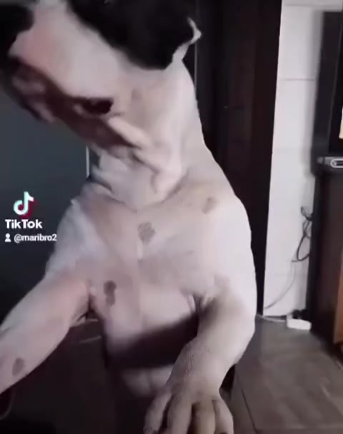@mariha282 Марина