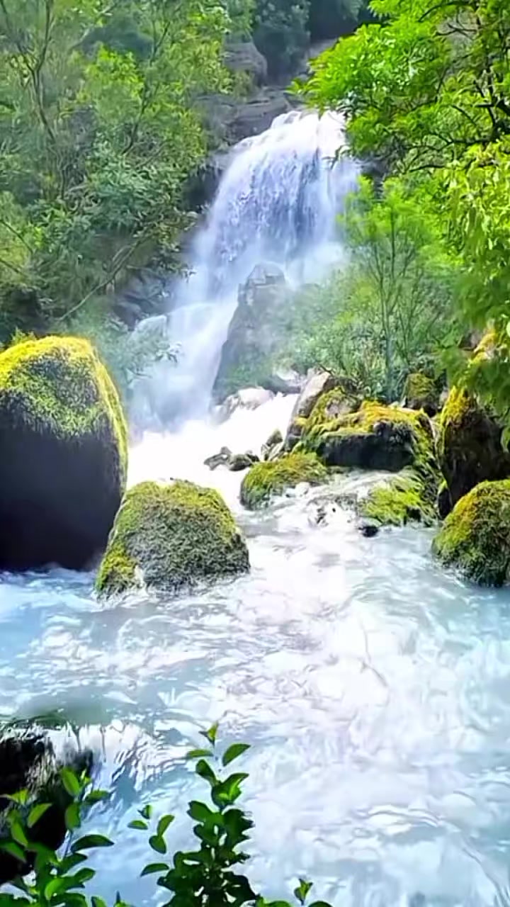 @NAZMA🤲নবীর প্রেমের পাগল আমি