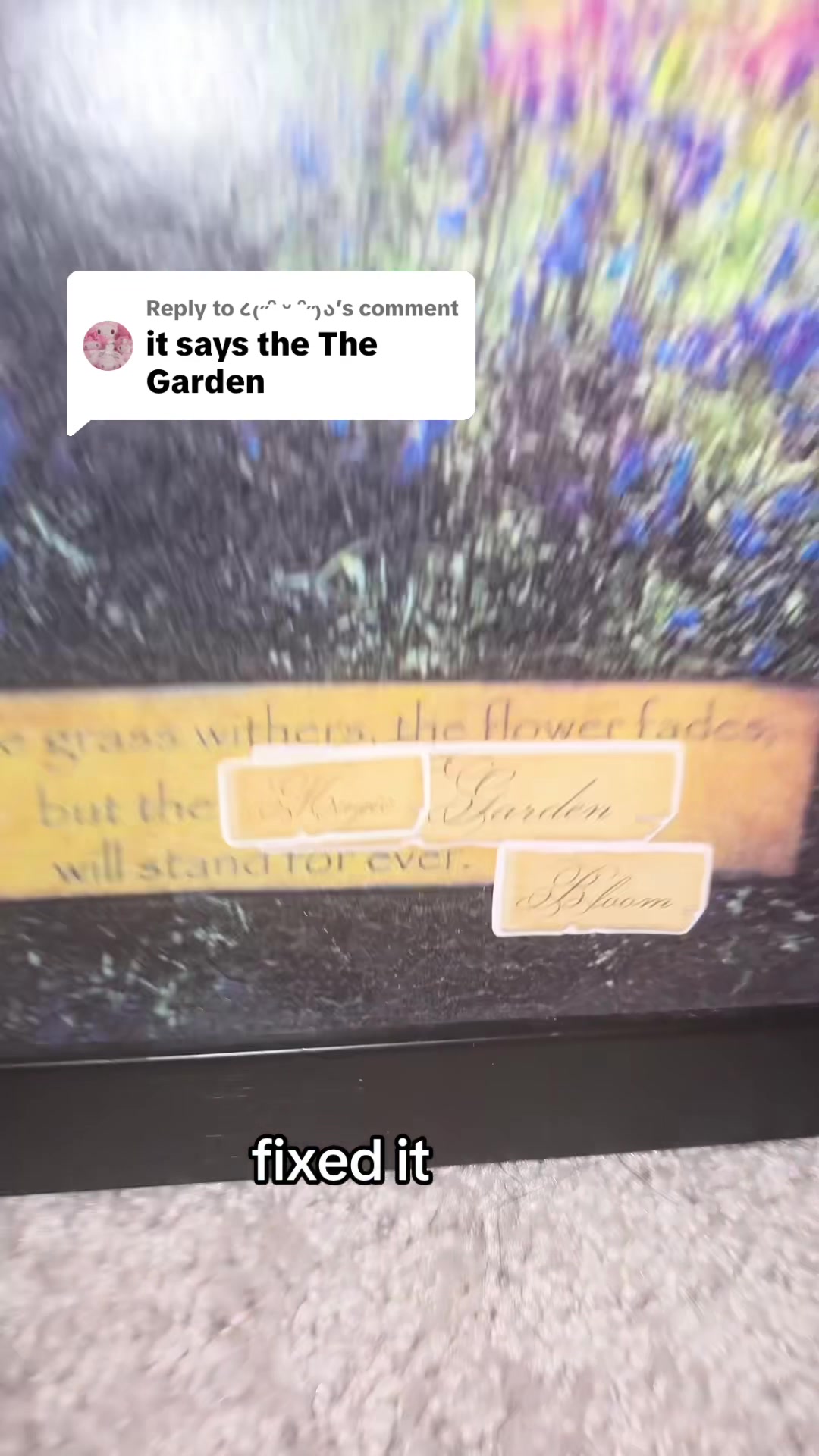 @lex 🪻⛓️ 🩻