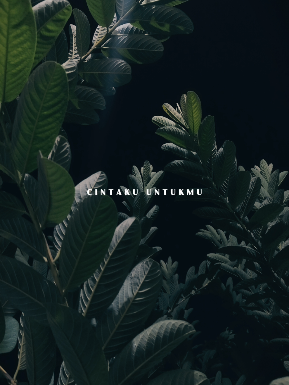 @𝐋𝐢𝐫𝐢𝐤 𝐒𝐞𝐝𝐞𝐫𝐡𝐚𝐧𝐚
