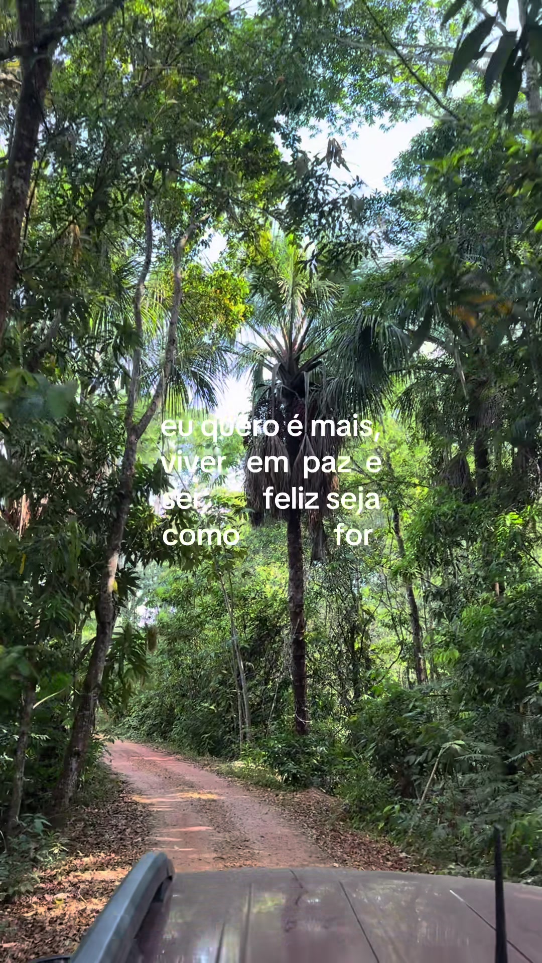 @maria ꨄ︎