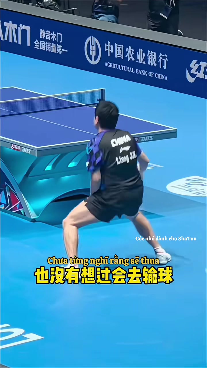 @Acc n&agrave;y chỉ c&oacute; ShaTou🦁🦈❤️