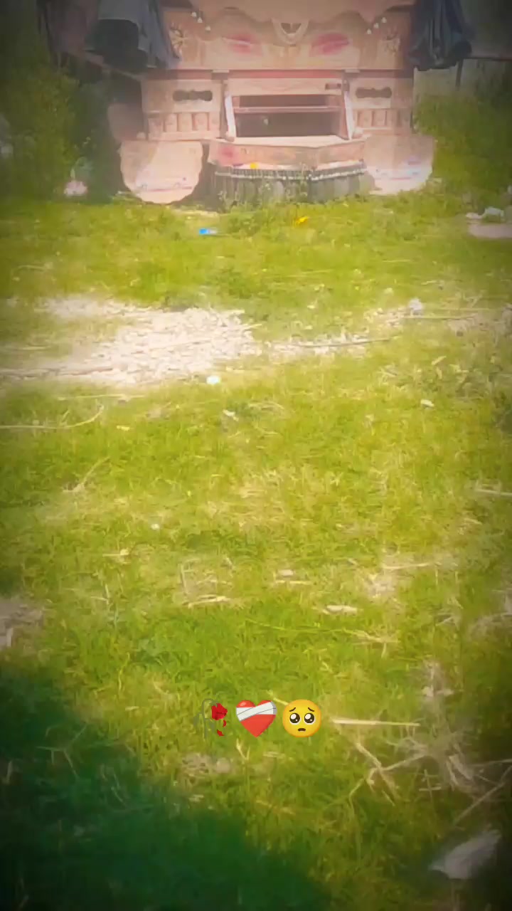 @⚡⚡⚡