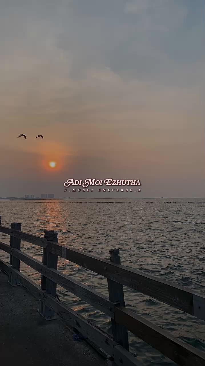@&hearts;𝙈𝙐𝙎𝙄𝘾 𝙐𝙉𝙄𝙑𝙀𝙍𝙎𝙀&hearts;