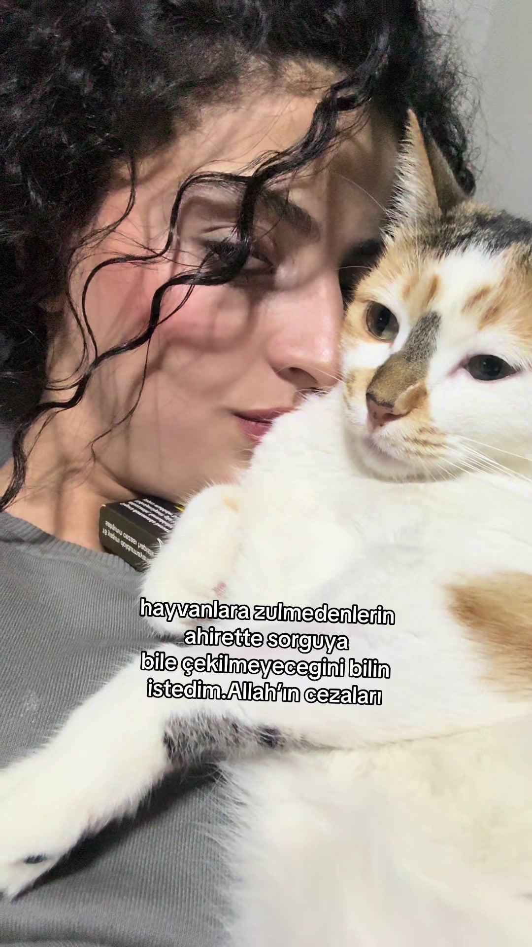 @ES🐈