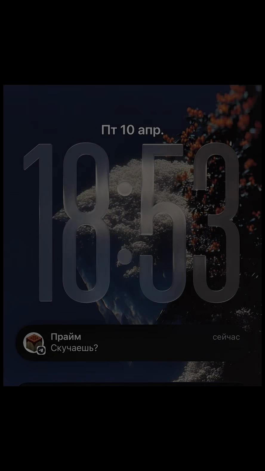 @Evelunx - Zalith Launcher