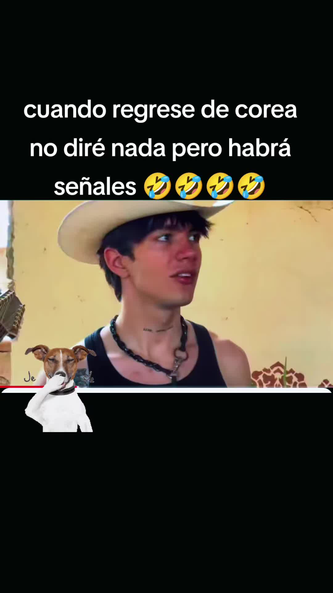 @solecito