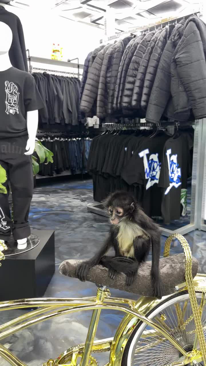@sdl_storefront