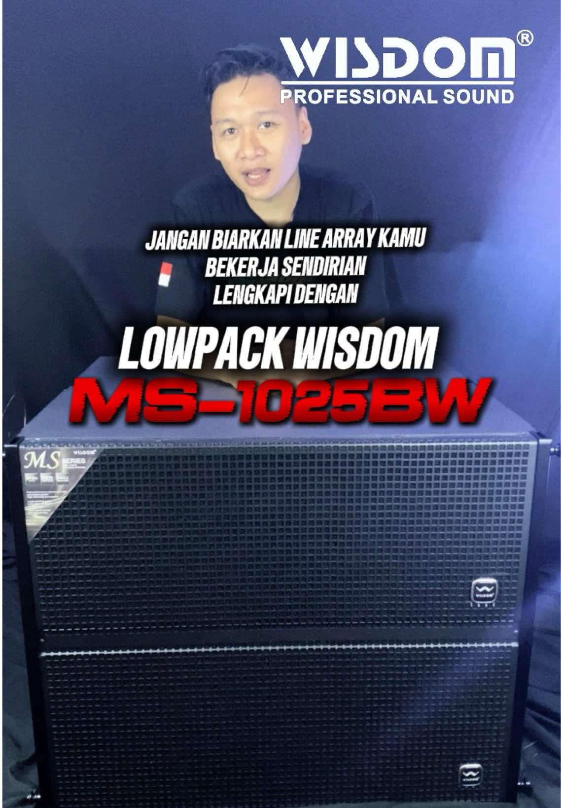 @Wisdom Pro Audio