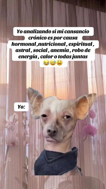 @Yasmin Guzmán🌷