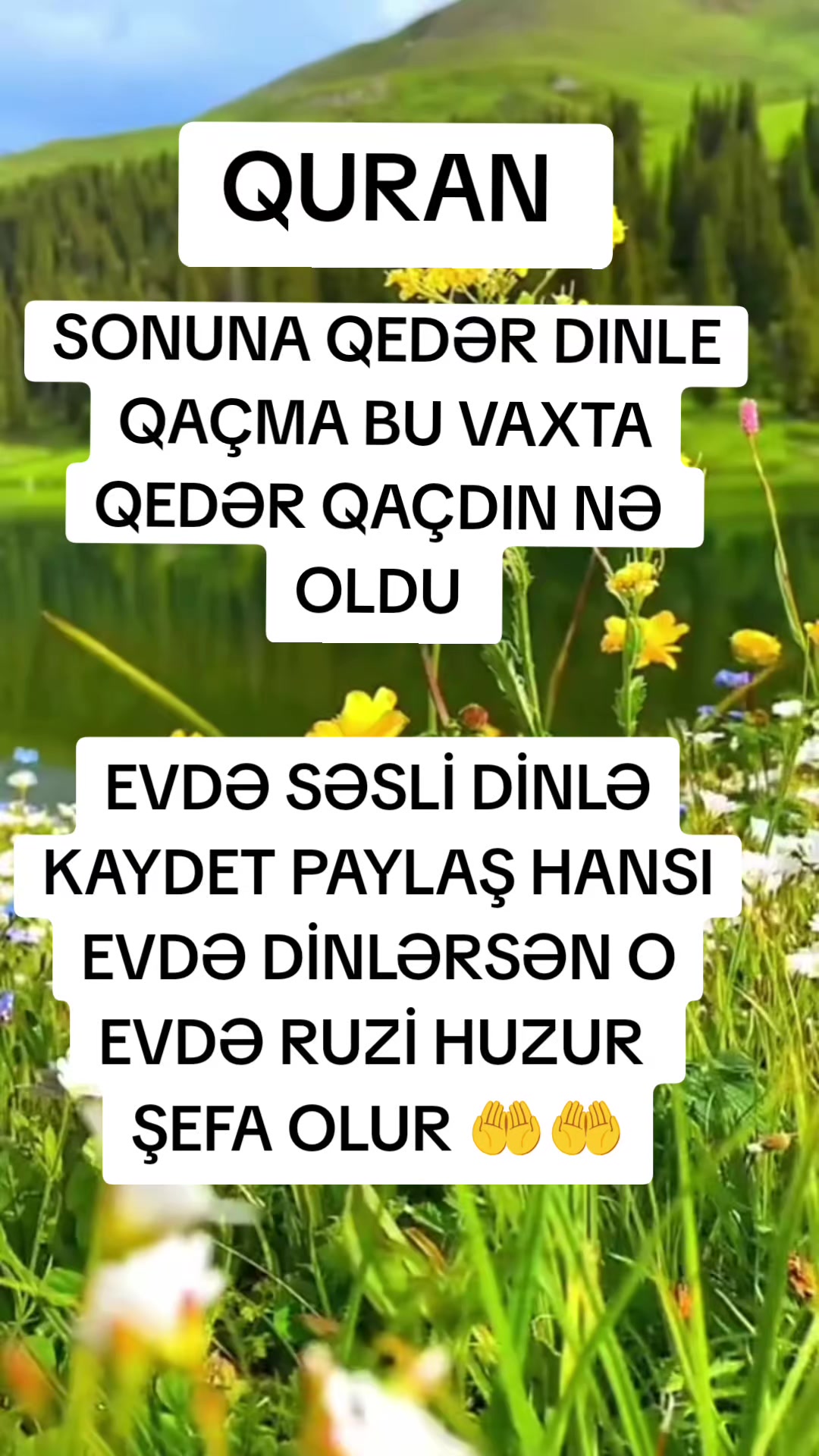 @QOCA_CANAVAR_YALQIZAQ