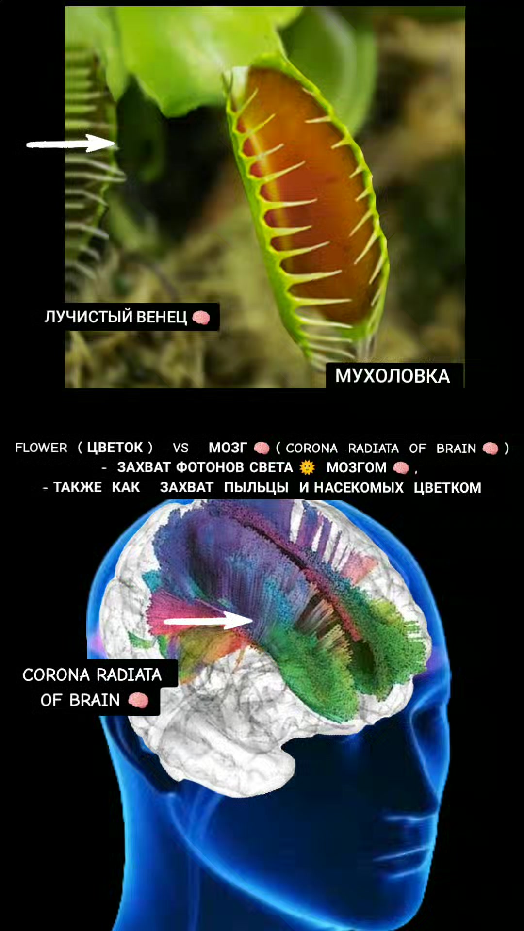 @ОЛЬГА ВЕЛЖИЧ