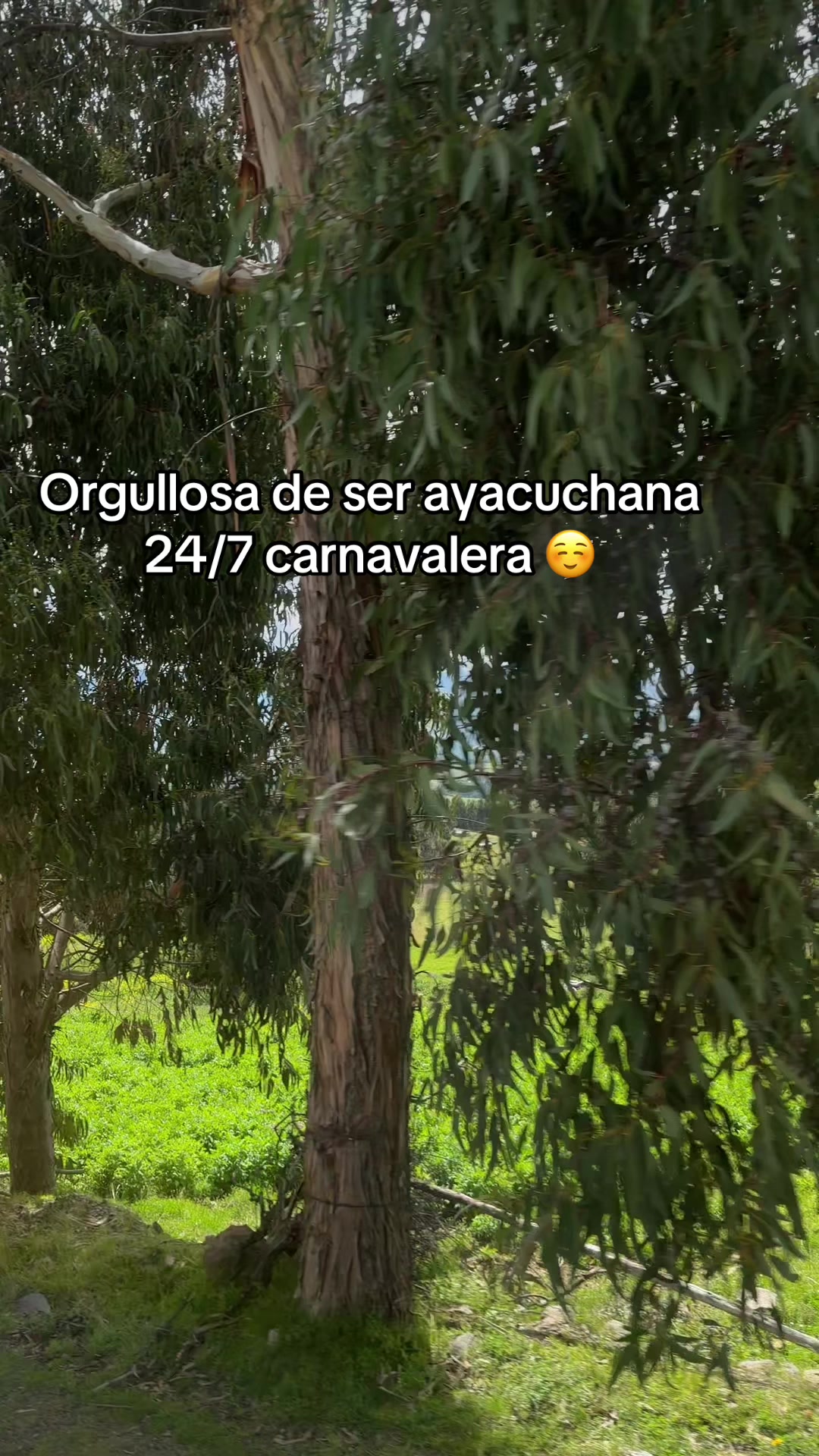 @fiorella marquina🌻
