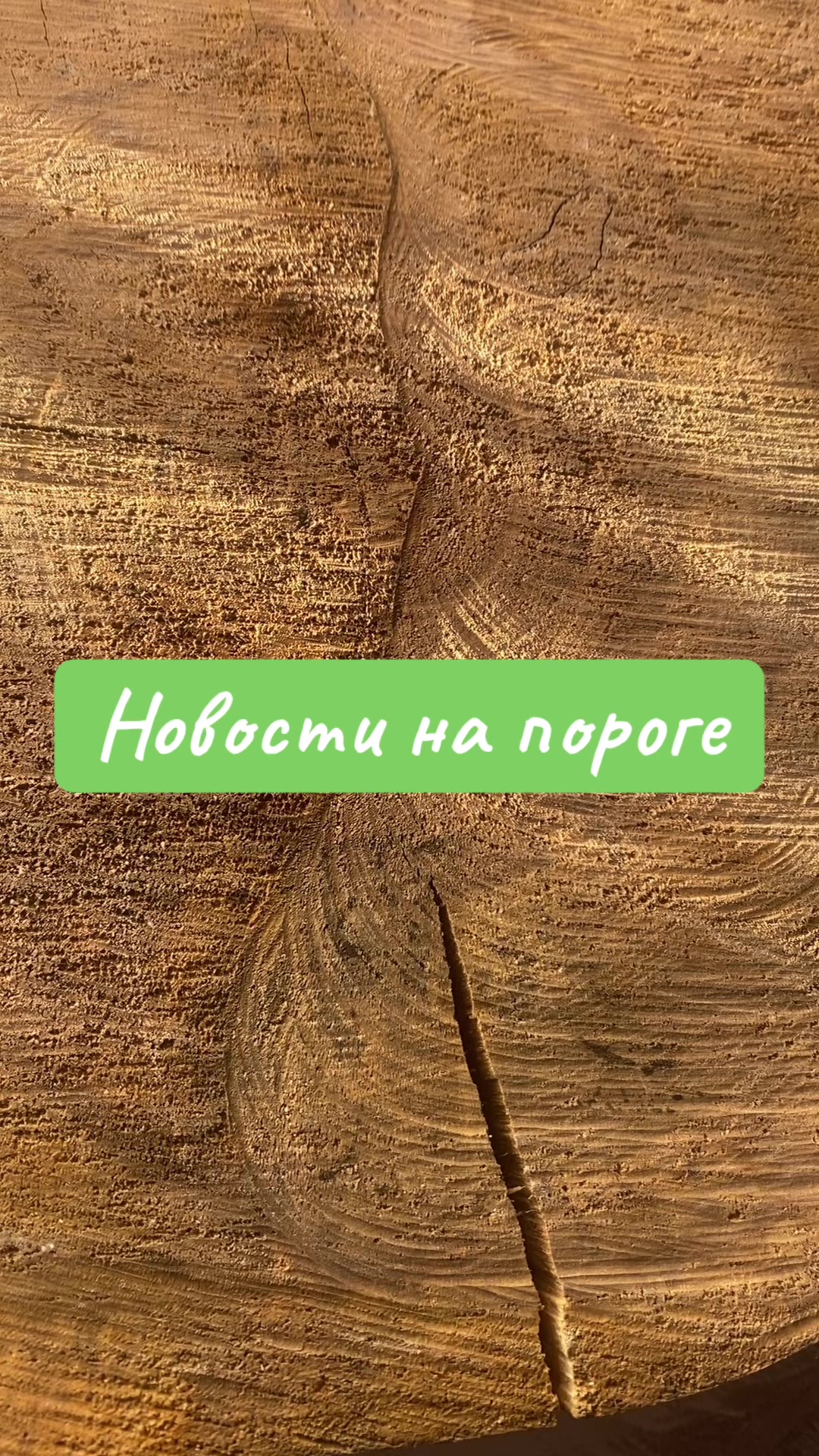 @eleonora_volyntseva