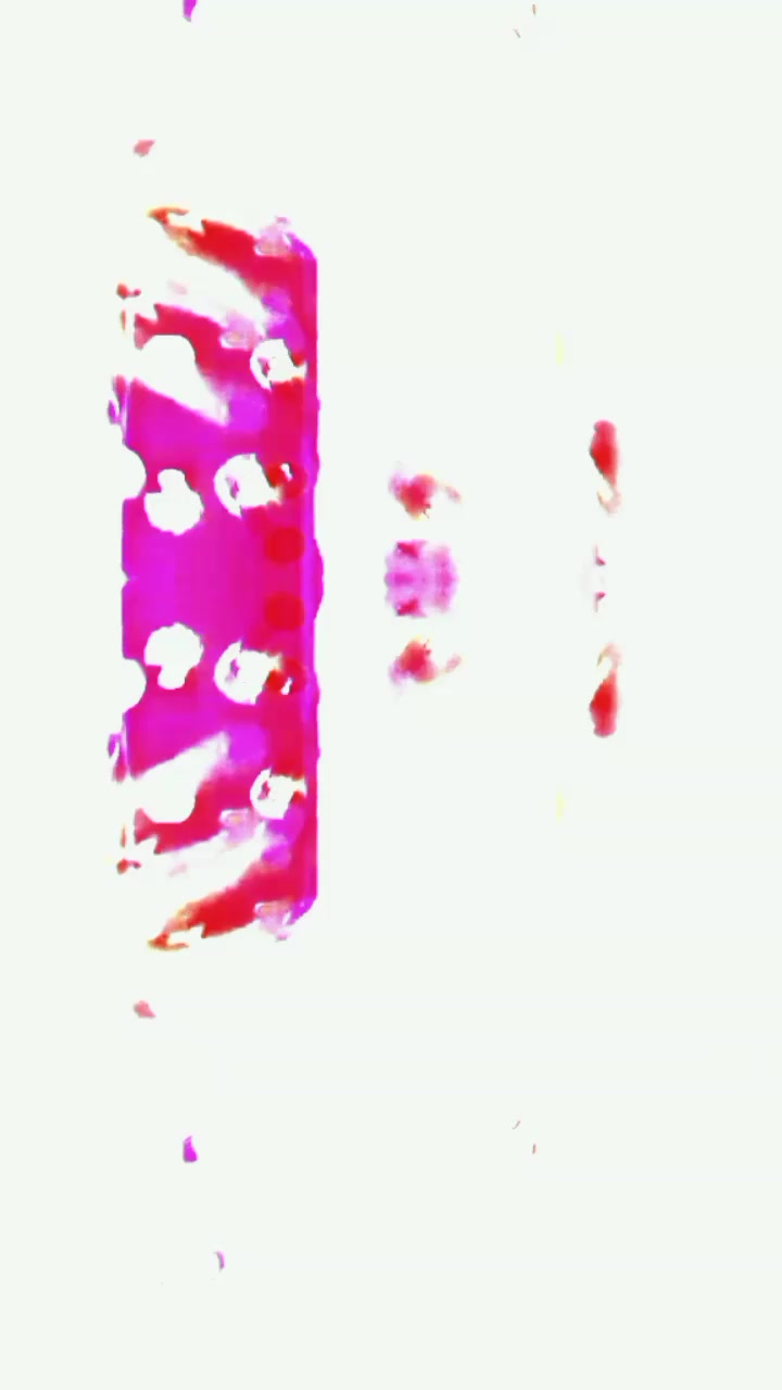 @💫🌸  queen 👑 wishu🇱🇰