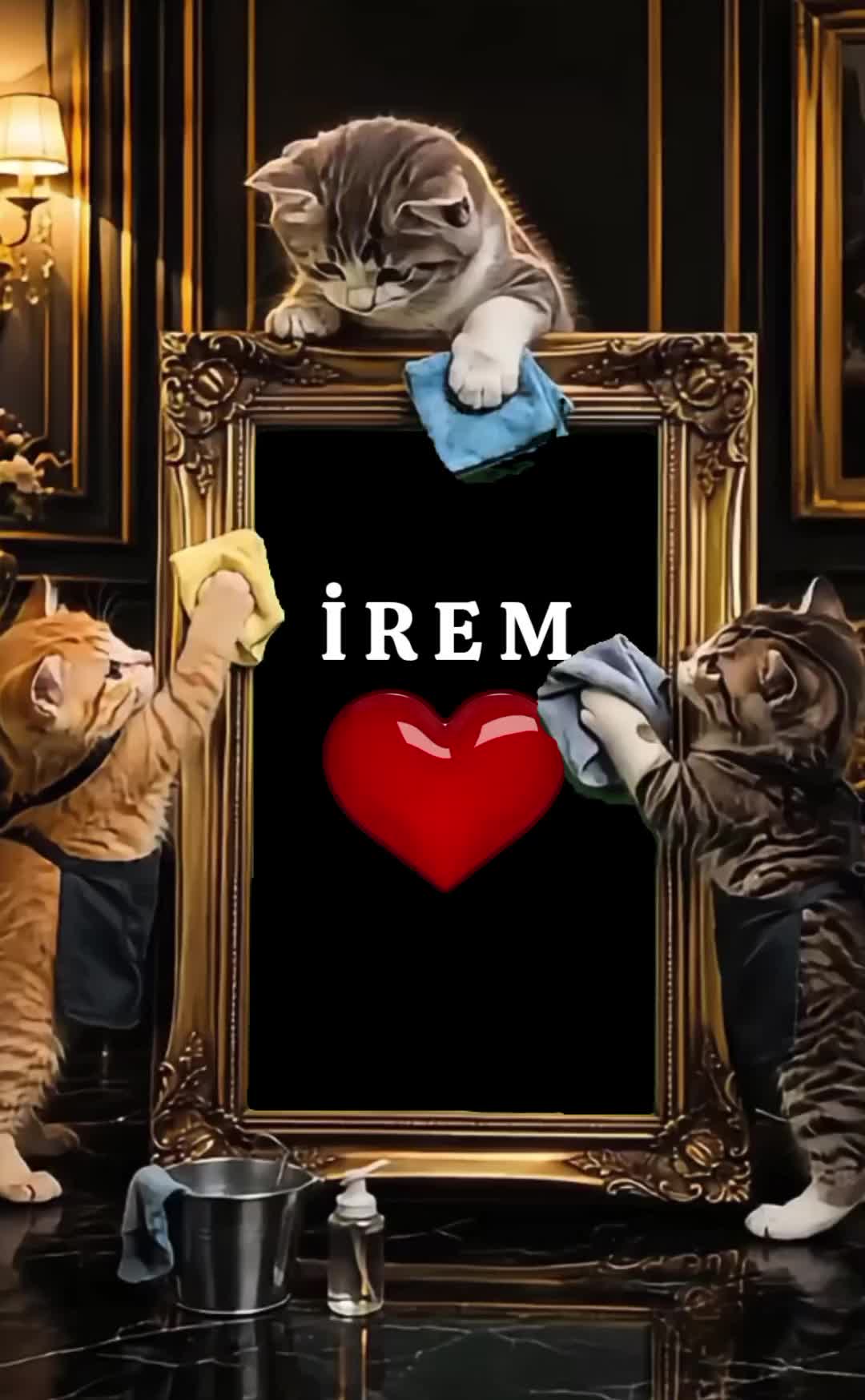 @SHOW İS NAME