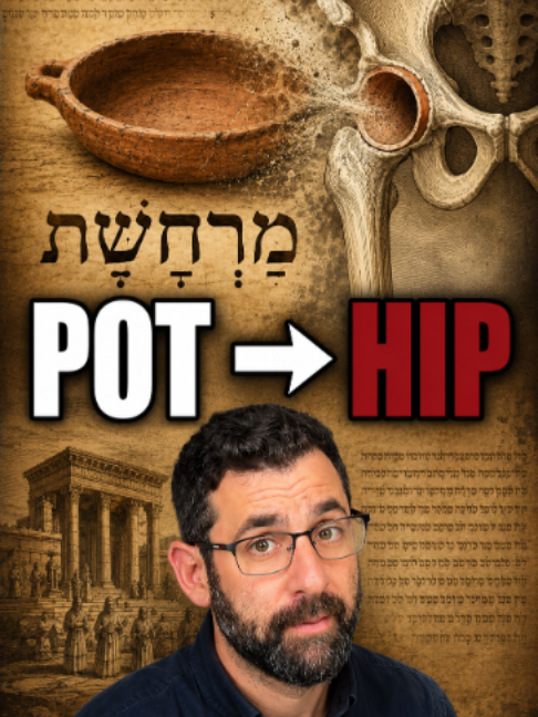 @Elon Gilad