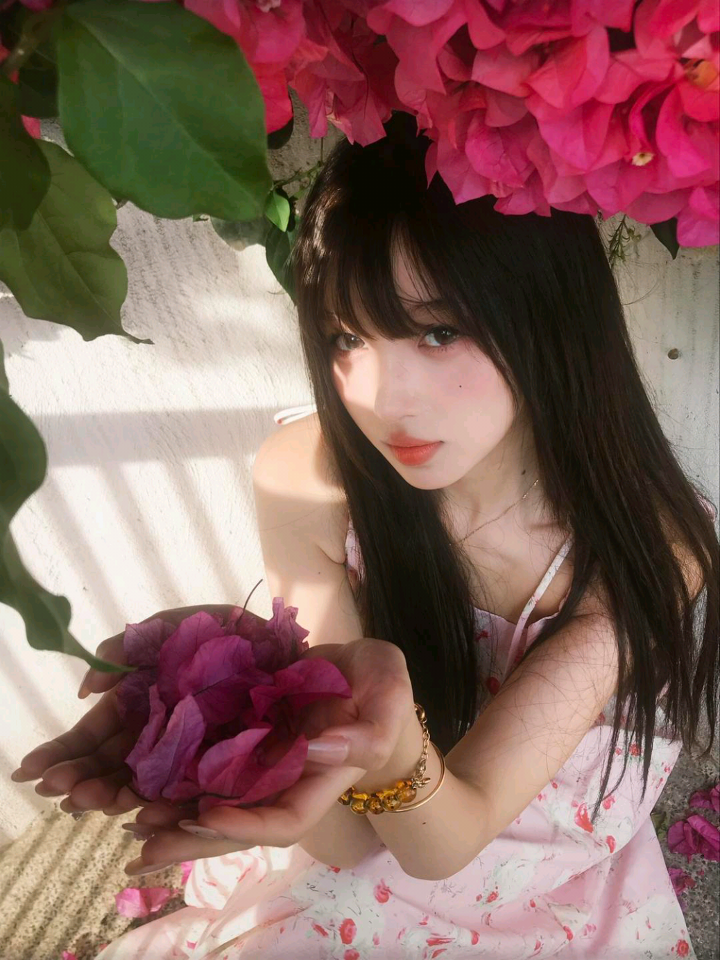 @🍁 王涵 🍁