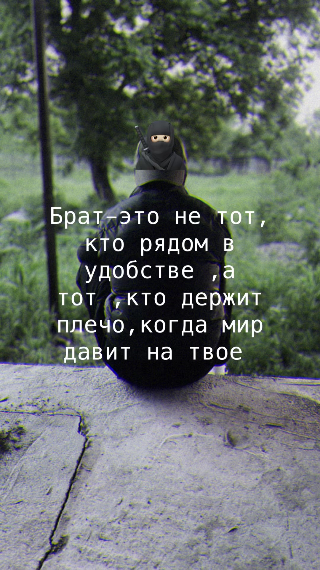 @zaurgagiev15