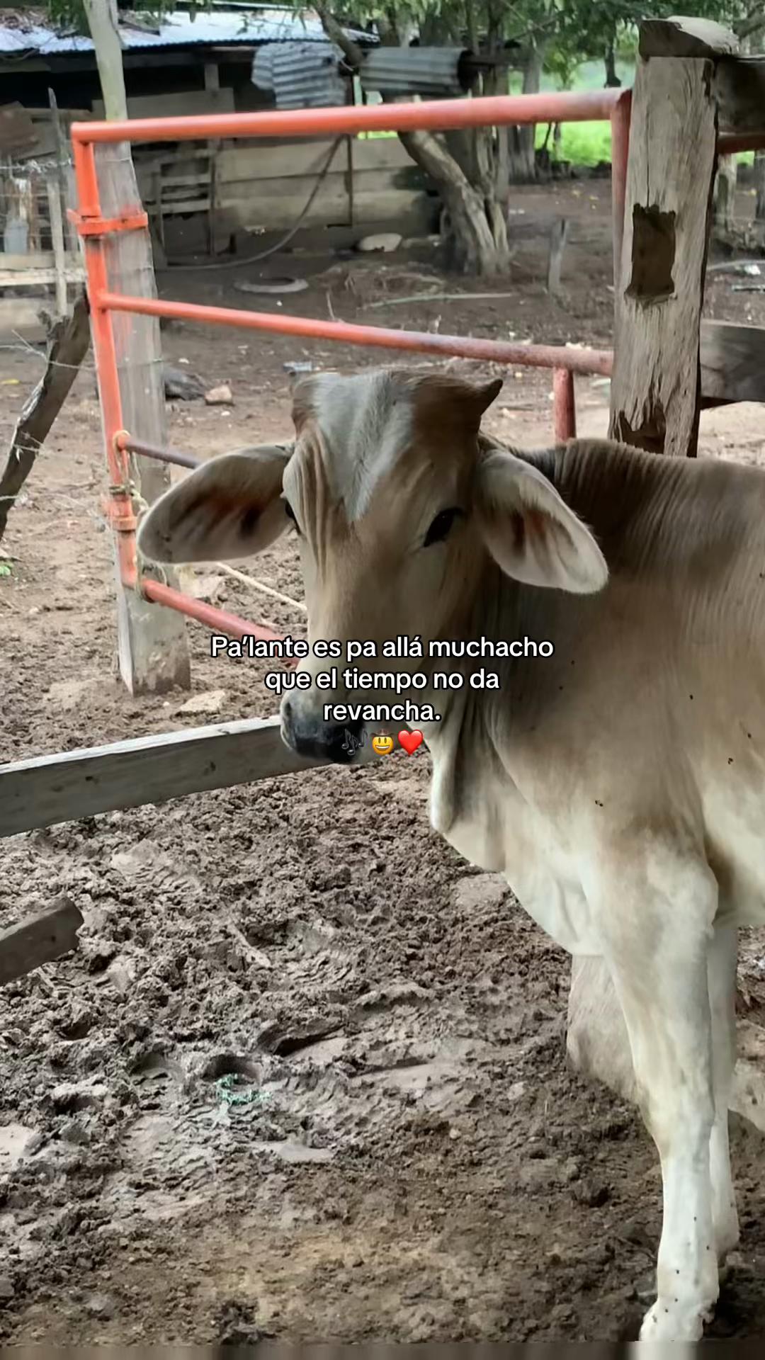 @Will_ &Omega;