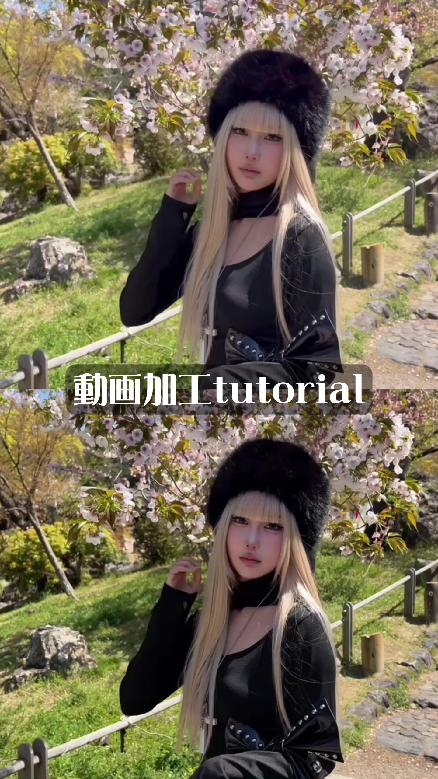 @白紫