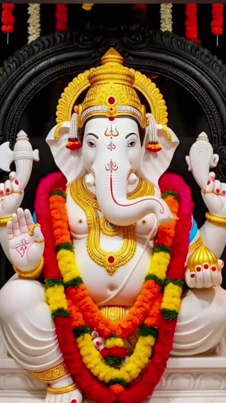 @biddhya