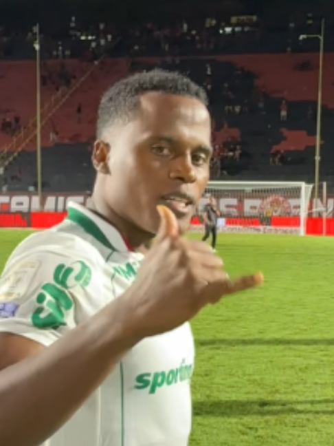 @SE Palmeiras