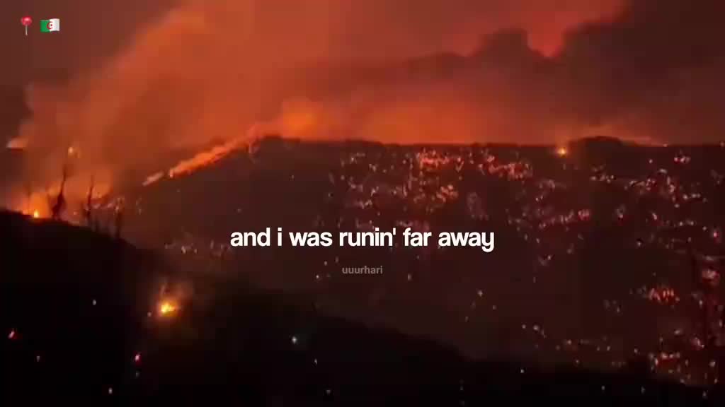 @لـيـون .ヤ