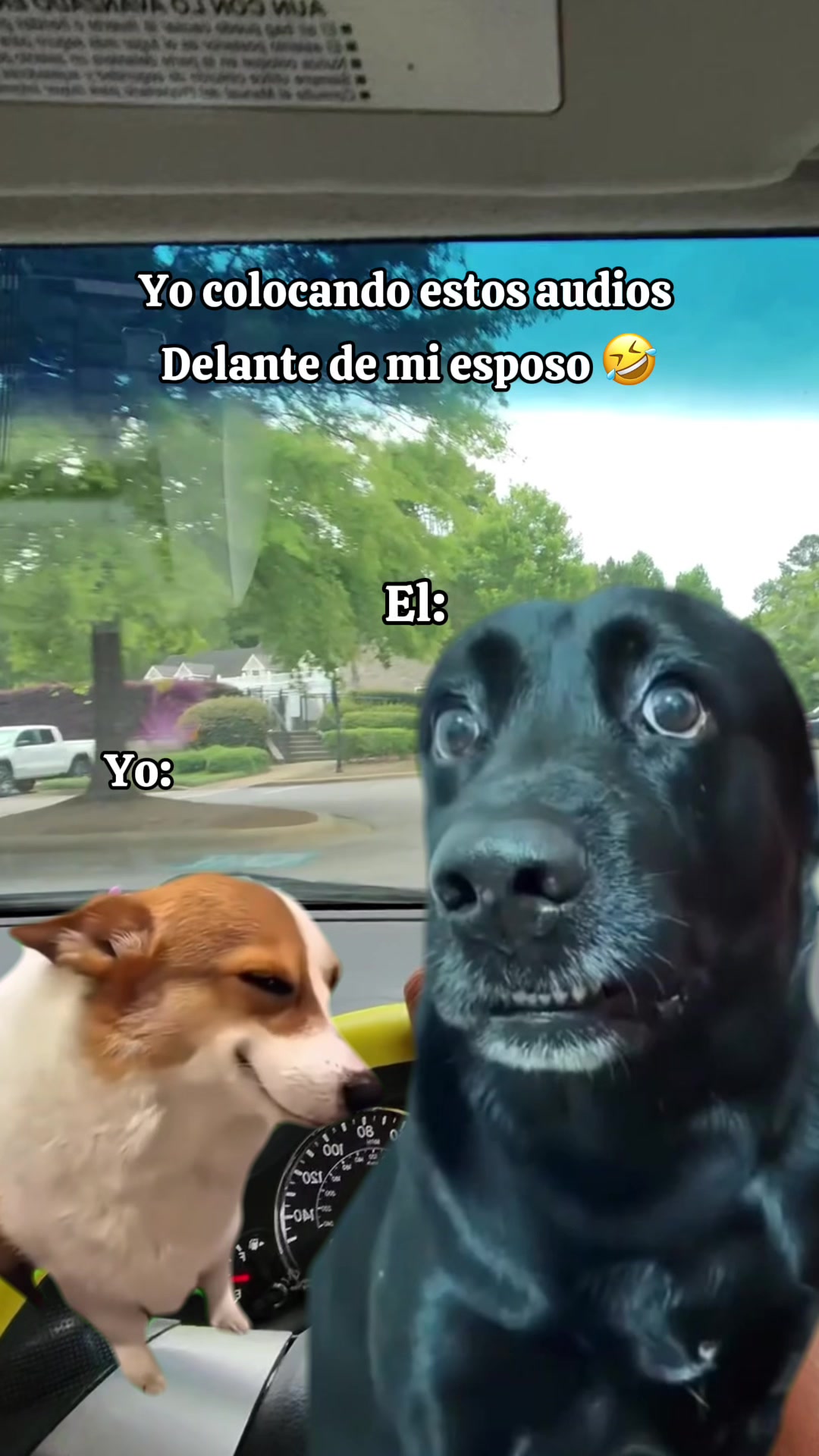 @YIDM