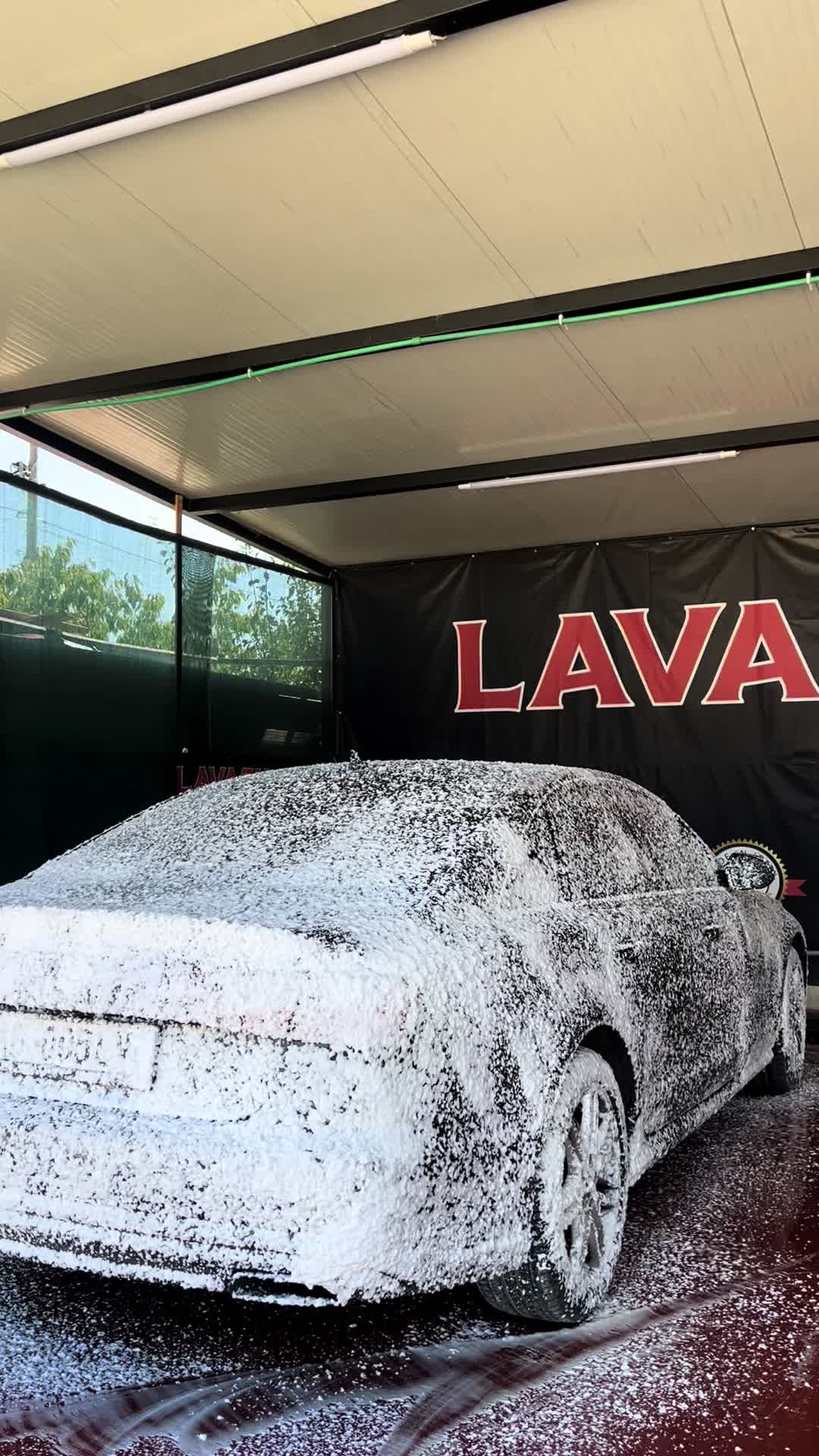@Lavazh_DUMB001