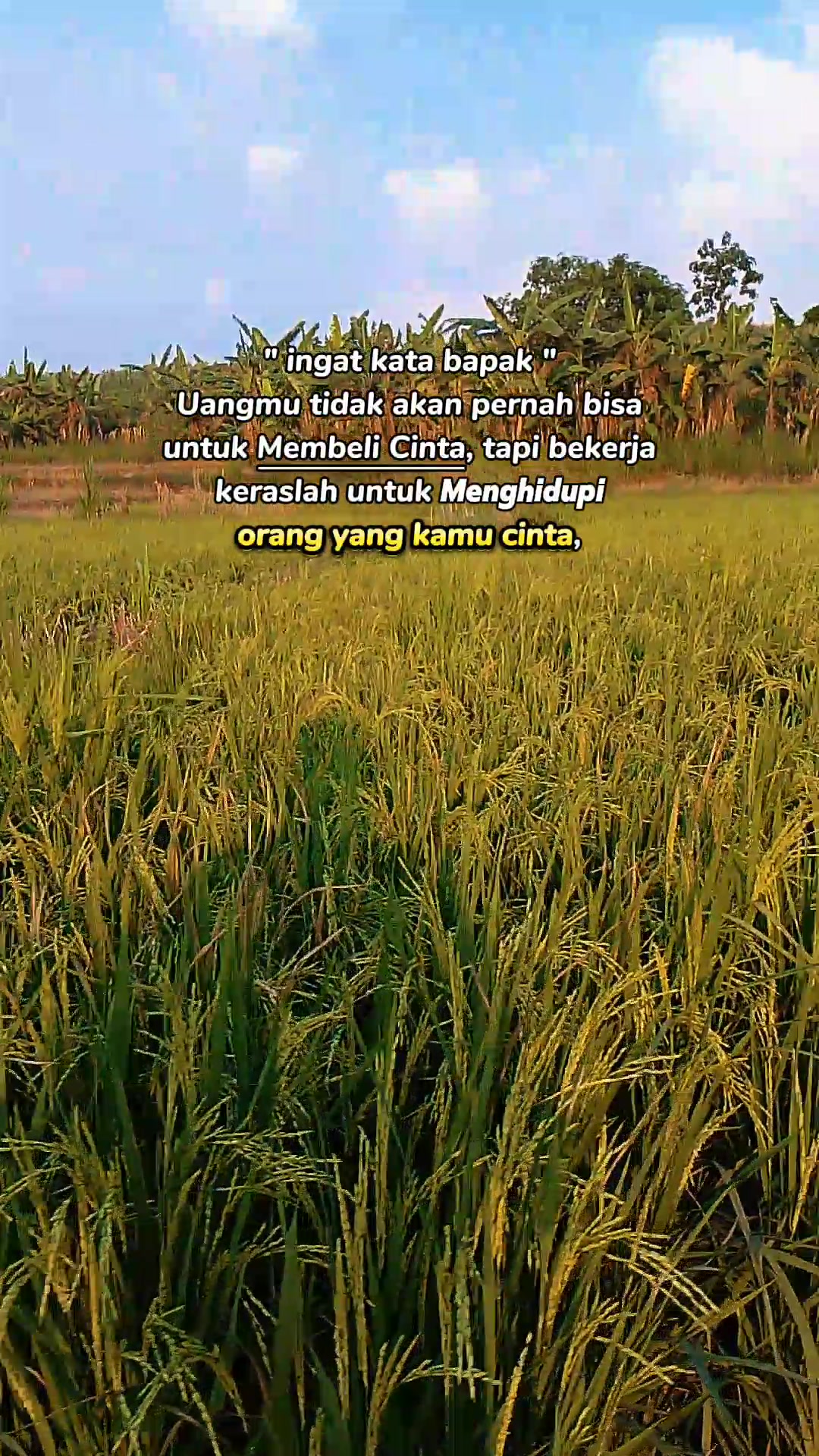 @petani melenial