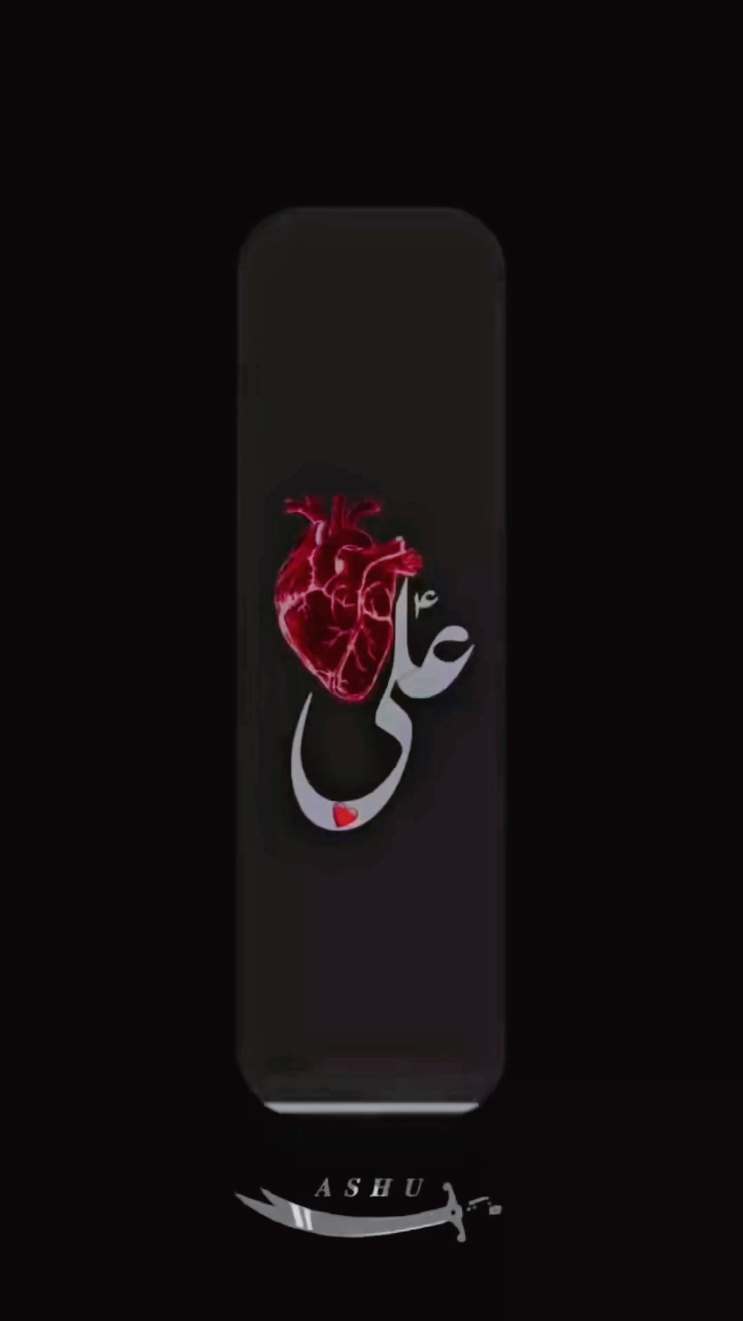 @HUSSAIN RAZA