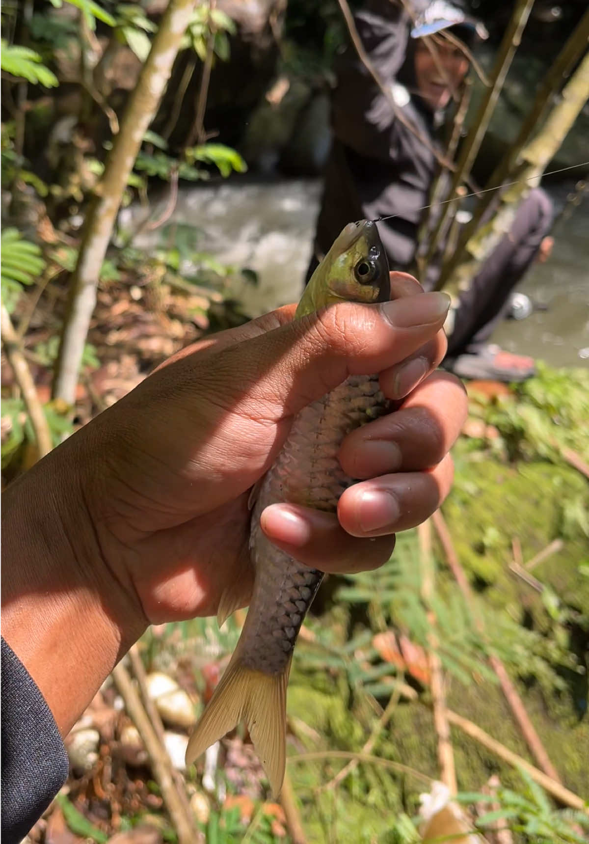 @unclemancing