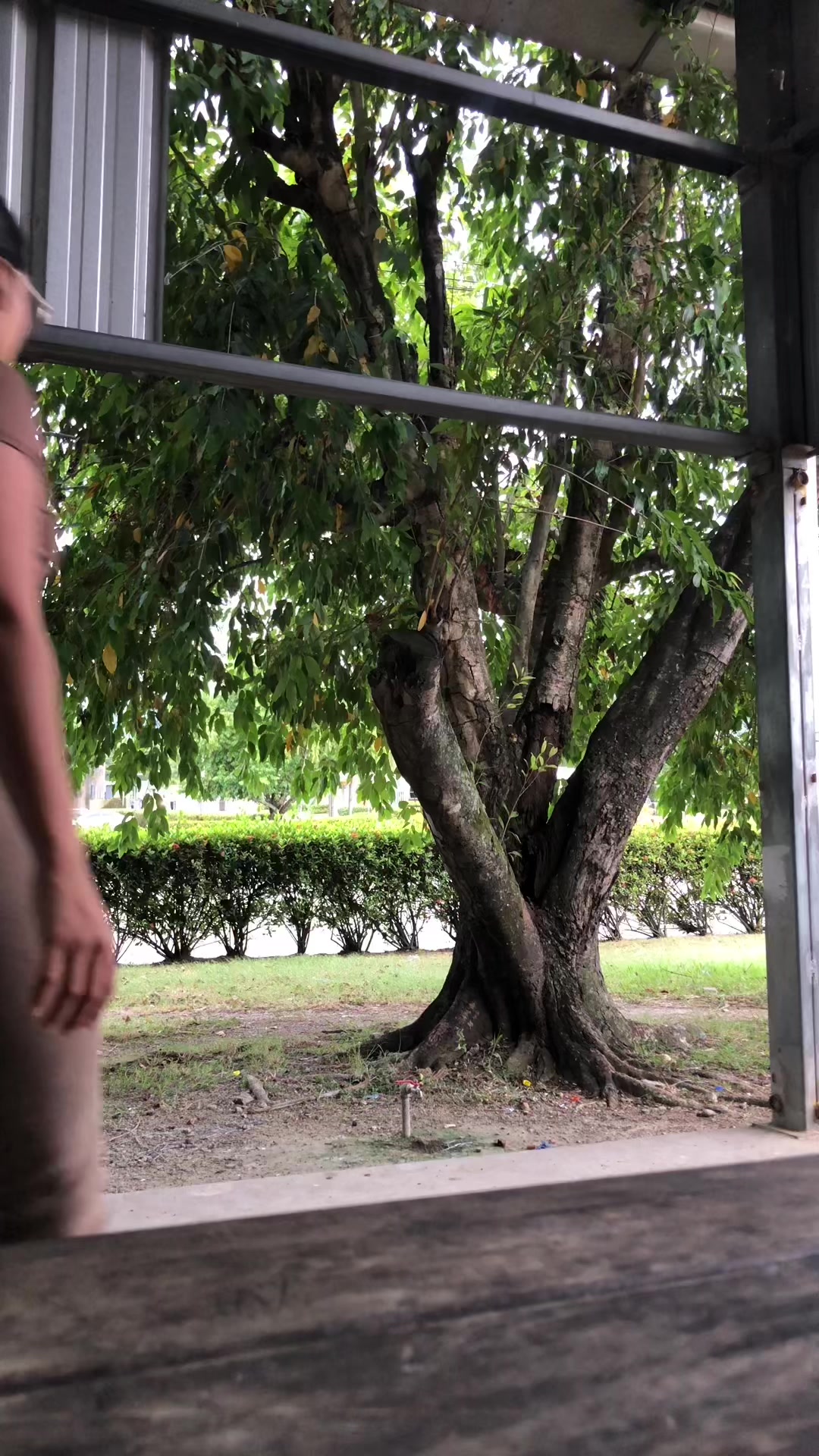 @Cesia Cabrera